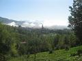 pieve 234